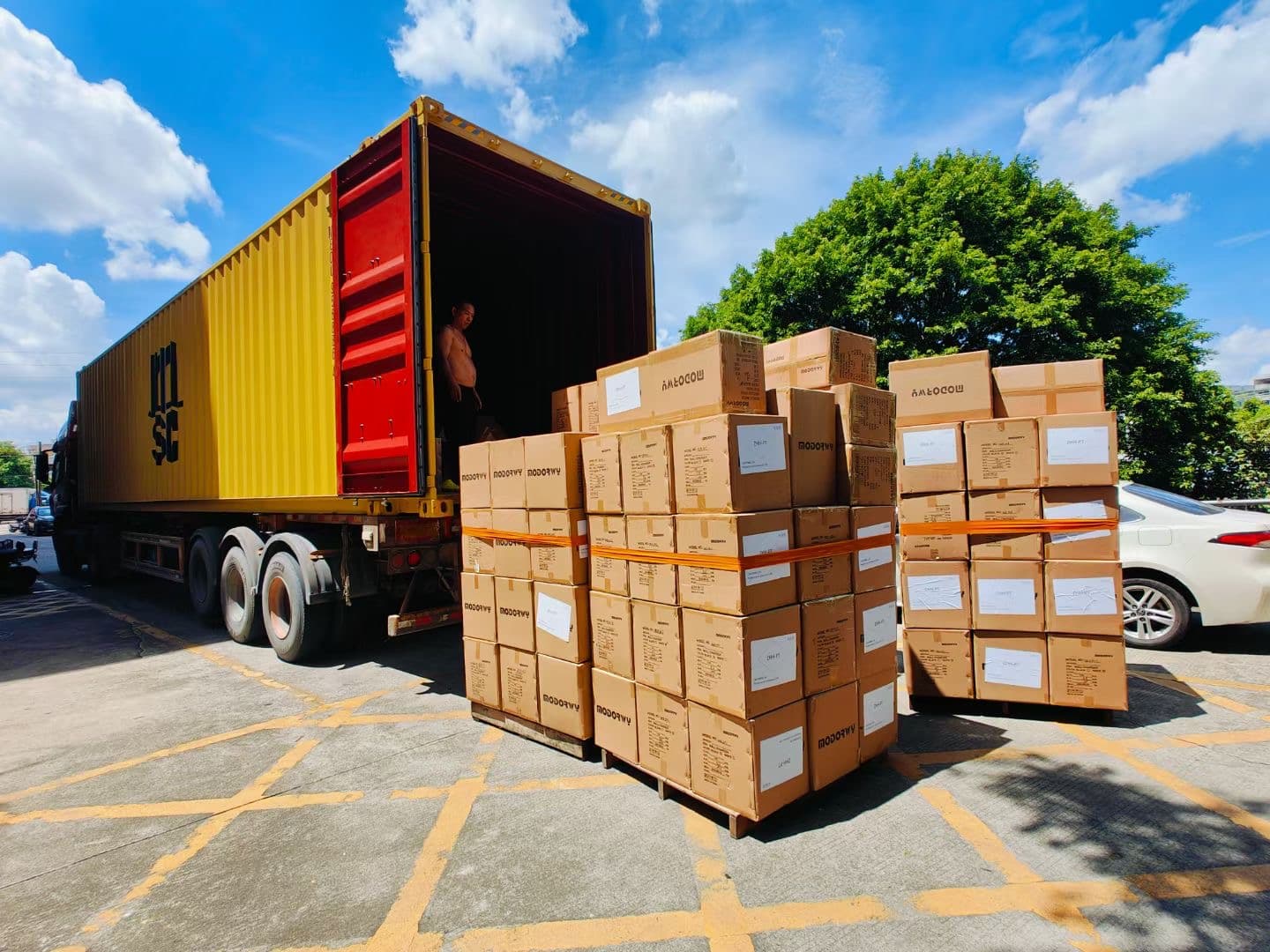 MSC Shipping