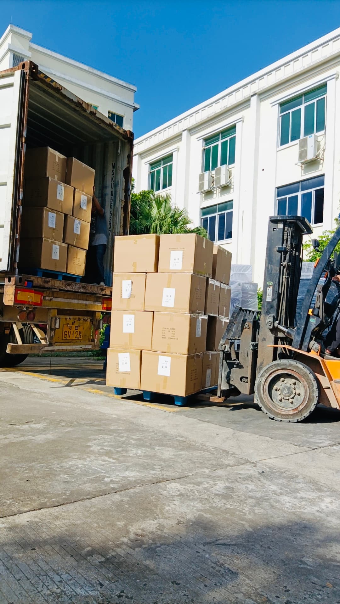Forklift Operation